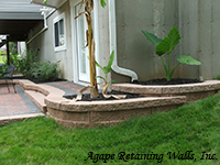 Curved Steps to Paver Patio